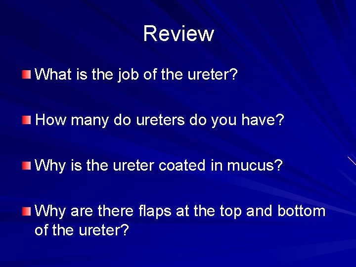 Review What is the job of the ureter? How many do ureters do you