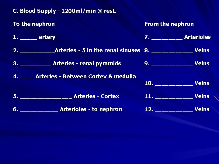 C. Blood Supply - 1200 ml/min @ rest. To the nephron From the nephron
