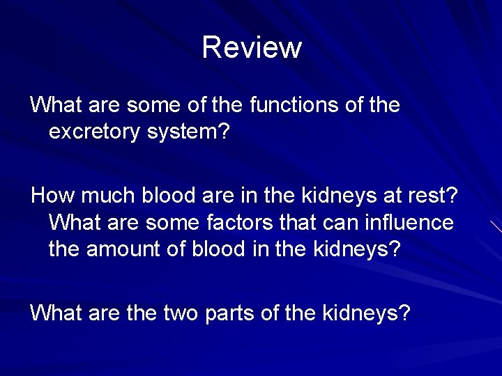 Review What are some of the functions of the excretory system? How much blood