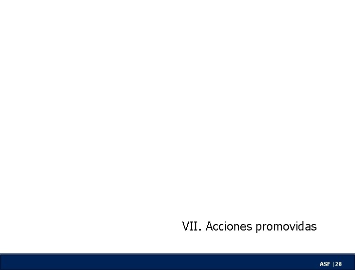 VII. Acciones promovidas ASF | 28 