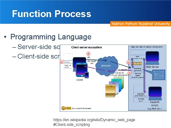 Function Process • Programming Language – Server-side scripting – Client-side scripting https: //en. wikipedia.