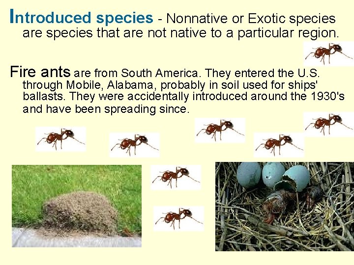 Introduced species - Nonnative or Exotic species are species that are not native to