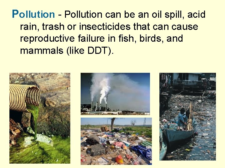 Pollution - Pollution can be an oil spill, acid rain, trash or insecticides that