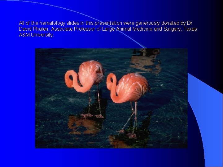 All of the hematology slides in this presentation were generously donated by Dr. David