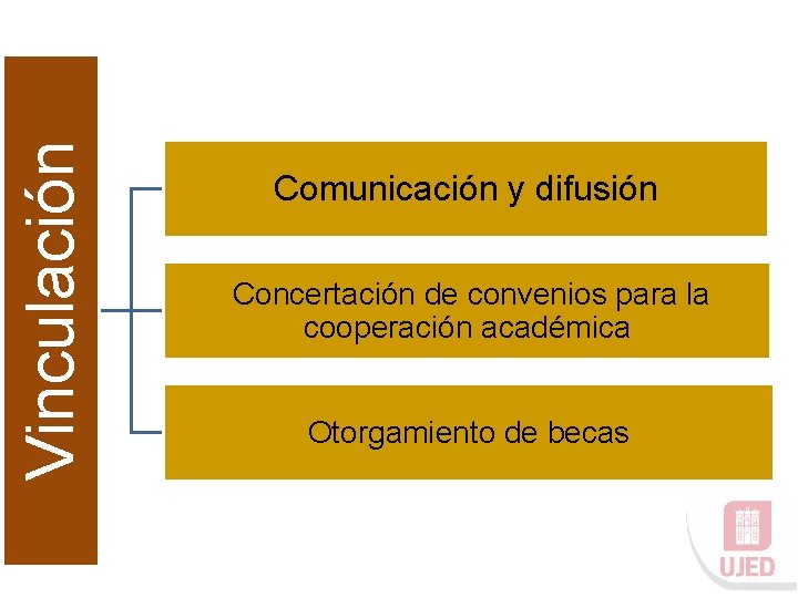 Vinculación Comunicación y difusión Concertación de convenios para la cooperación académica Otorgamiento de becas
