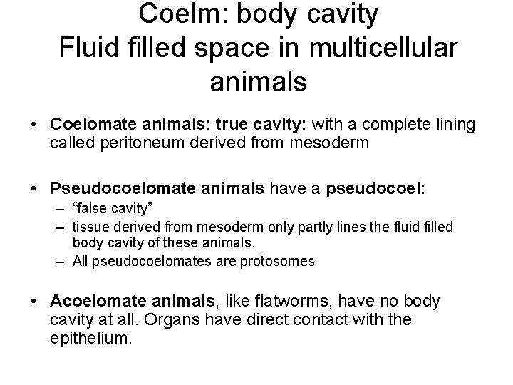Coelm: body cavity Fluid filled space in multicellular animals • Coelomate animals: true cavity: