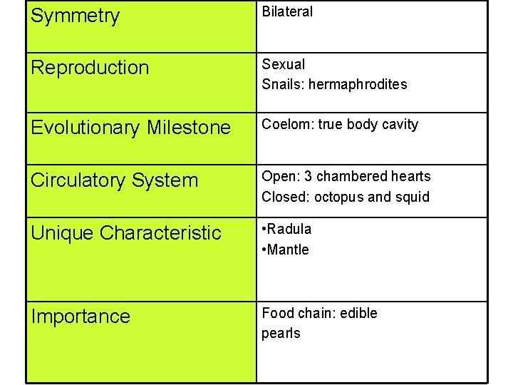 Symmetry Bilateral Reproduction Sexual Snails: hermaphrodites Evolutionary Milestone Coelom: true body cavity Circulatory System