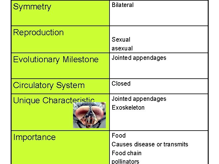 Symmetry Reproduction Bilateral Sexual asexual Evolutionary Milestone Jointed appendages Circulatory System Closed Unique Characteristic