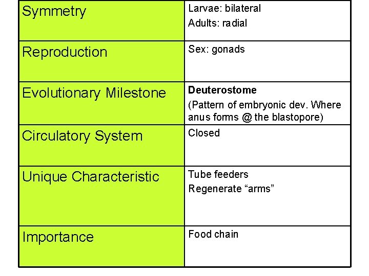 Symmetry Larvae: bilateral Adults: radial Reproduction Sex: gonads Evolutionary Milestone Deuterostome (Pattern of embryonic