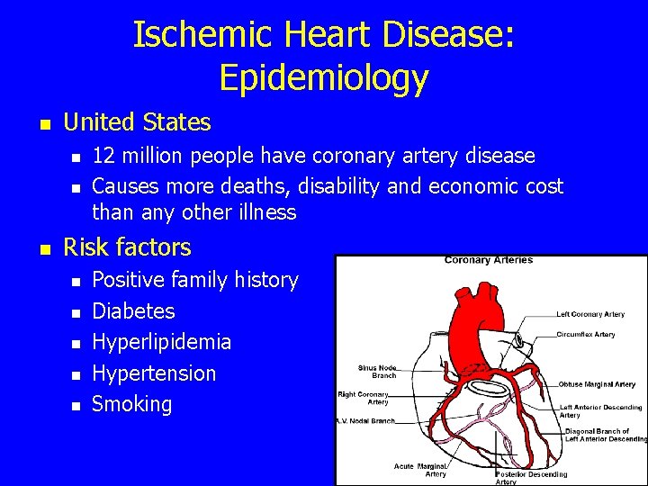 Ischemic Heart Disease: Epidemiology n United States n n n 12 million people have