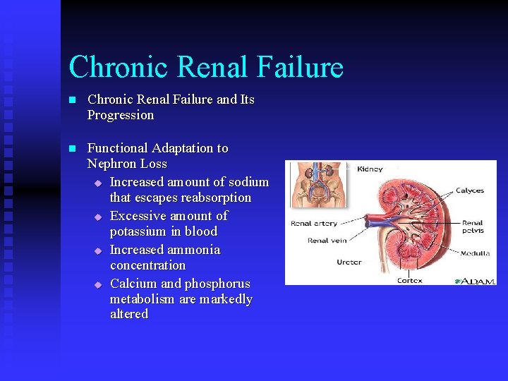 Chronic Renal Failure n Chronic Renal Failure and Its Progression n Functional Adaptation to