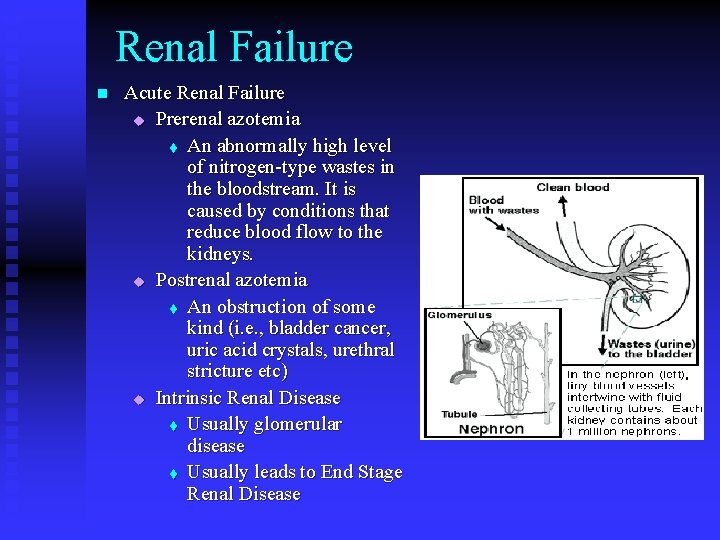 Renal Failure n Acute Renal Failure u Prerenal azotemia t An abnormally high level