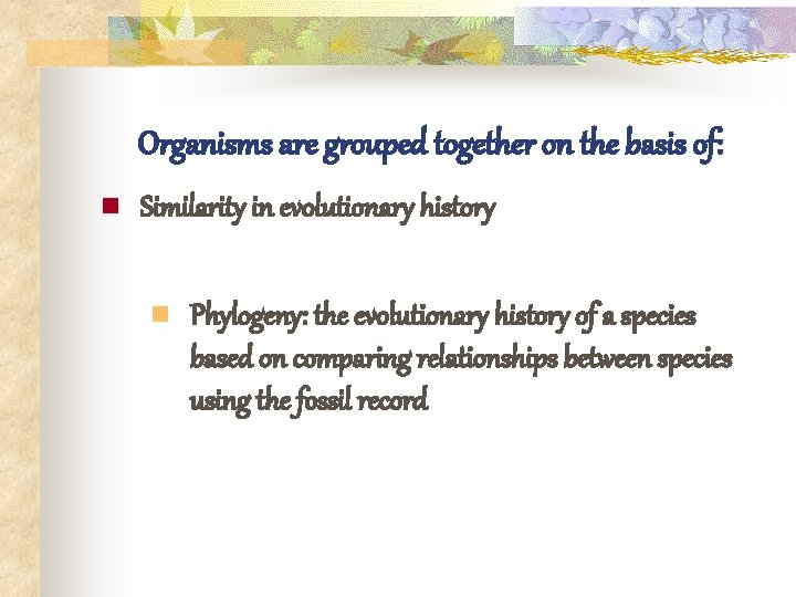 Organisms are grouped together on the basis of: n Similarity in evolutionary history n