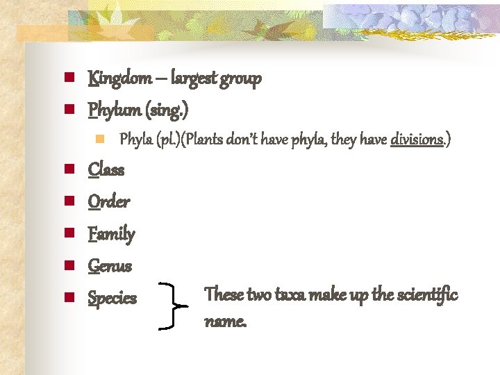 n n Kingdom – largest group Phylum (sing. ) n n n Phyla (pl.