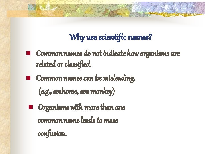 Why use scientific names? n Common names do not indicate how organisms are related