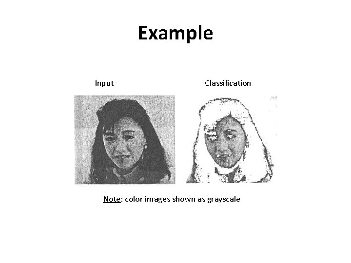 Example Input Classification Note: color images shown as grayscale 