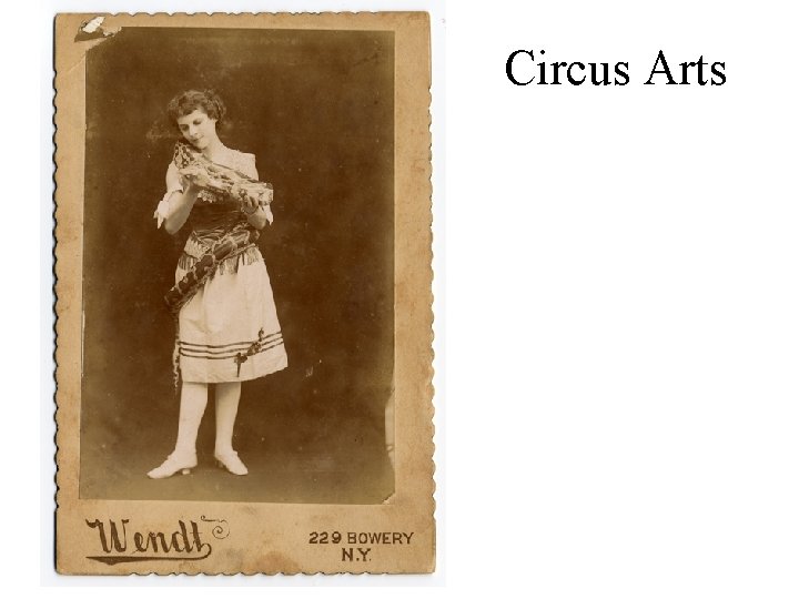 Circus Arts 