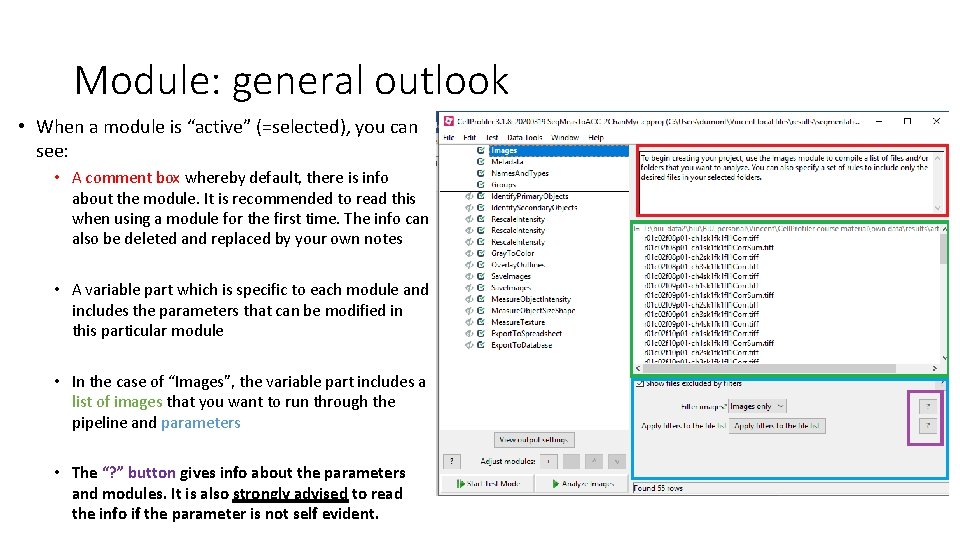 Module: general outlook • When a module is “active” (=selected), you can see: •