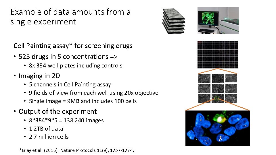 Example of data amounts from a single experiment Cell Painting assay* for screening drugs