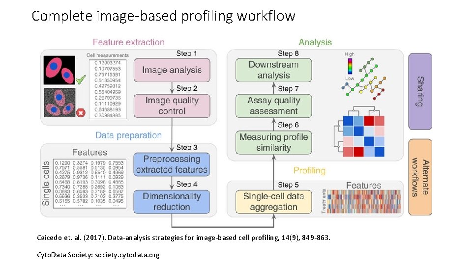 Complete image-based profiling workflow Caicedo et. al. (2017). Data-analysis strategies for image-based cell profiling,