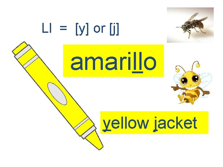 Ll = [y] or [j] amarillo yellow jacket 