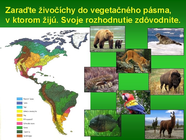 Zaraďte živočíchy do vegetačného pásma, v ktorom žijú. Svoje rozhodnutie zdôvodnite. 