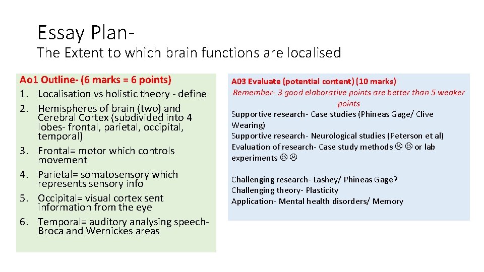 Essay Plan- The Extent to which brain functions are localised Ao 1 Outline- (6