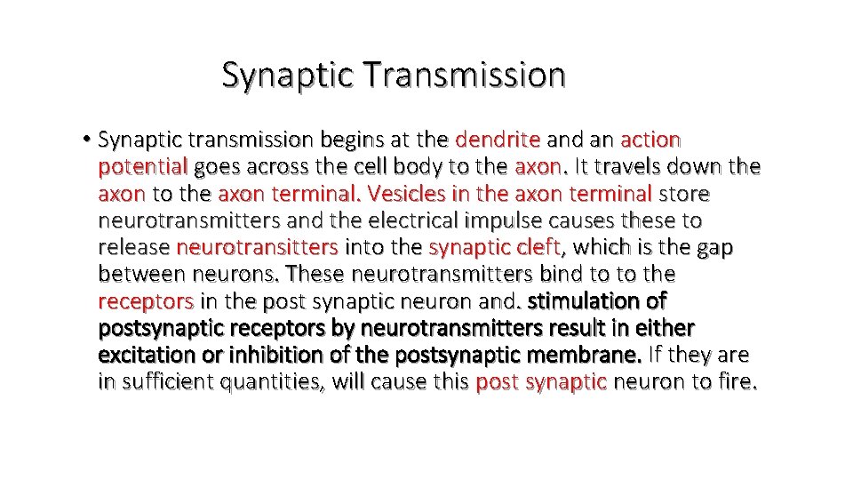 Synaptic Transmission • Synaptic transmission begins at the dendrite and an action potential goes