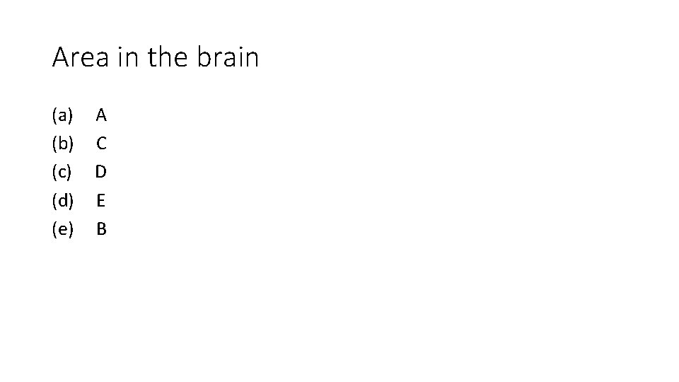 Area in the brain (a) (b) (c) (d) (e) A C D E B