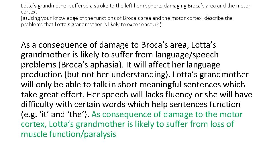 Lotta’s grandmother suffered a stroke to the left hemisphere, damaging Broca’s area and the
