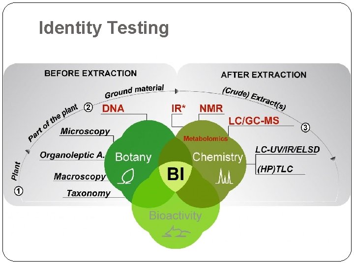 Identity Testing 