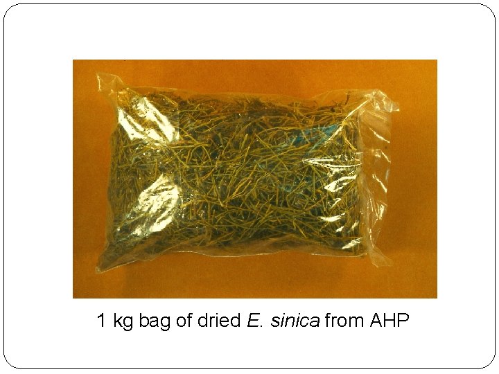 1 kg bag of dried E. sinica from AHP 