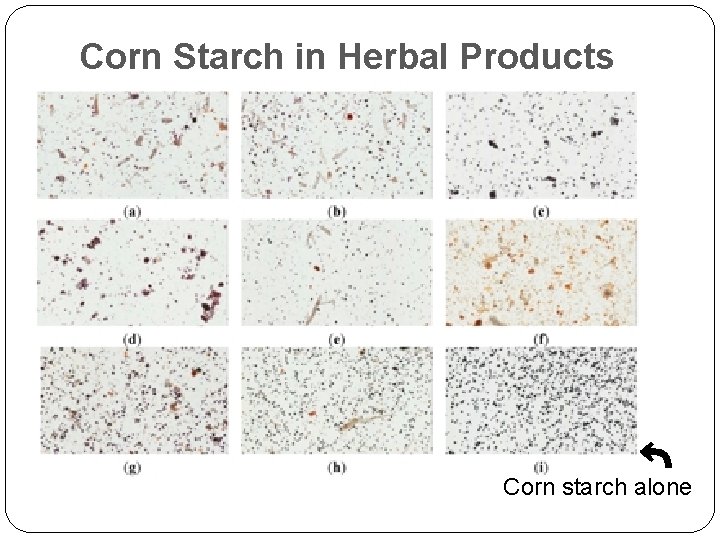 ⤴ Corn Starch in Herbal Products Corn starch alone 