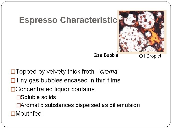 Espresso Characteristics Gas Bubble Oil Droplet �Topped by velvety thick froth - crema �Tiny