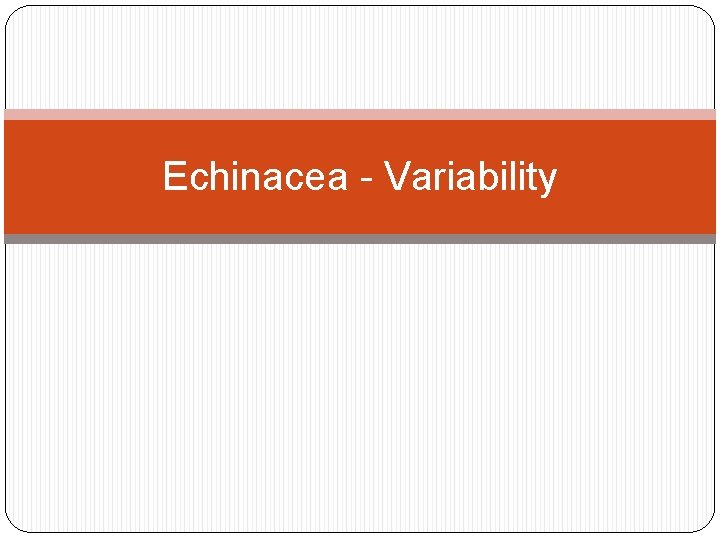 Echinacea - Variability 