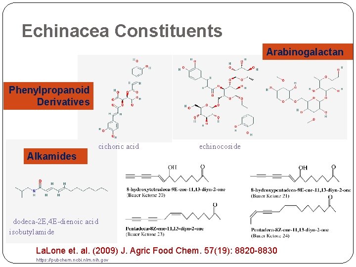 Echinacea Constituents Arabinogalactan Phenylpropanoid Derivatives cichoric acid echinocoside Alkamides dodeca-2 E, 4 E-dienoic acid