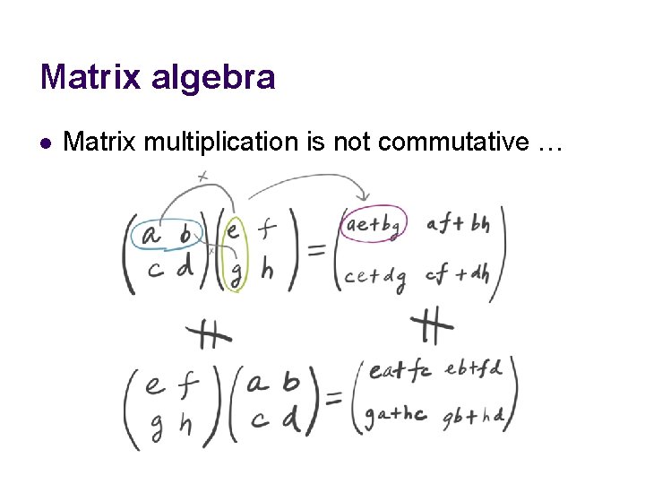 Matrix algebra l Matrix multiplication is not commutative … 