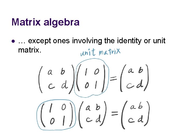 Matrix algebra l … except ones involving the identity or unit matrix. 
