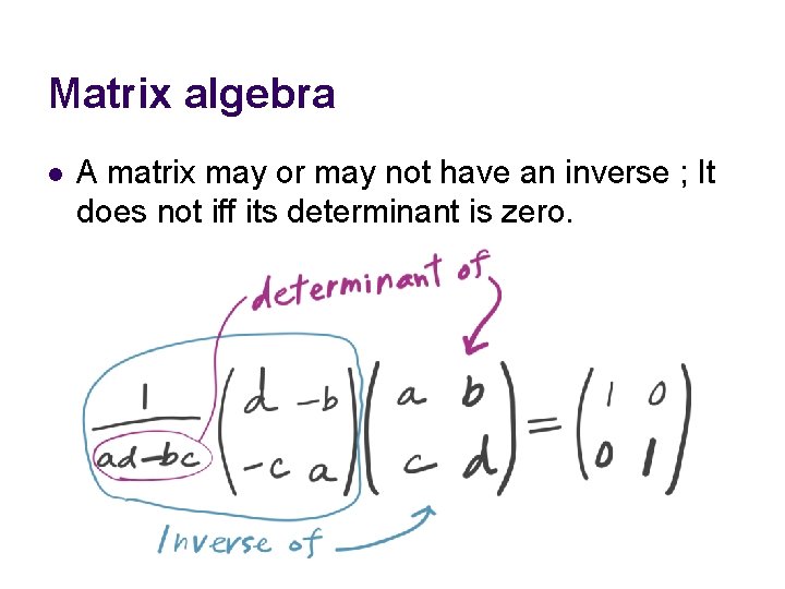 Matrix algebra l A matrix may or may not have an inverse ; It