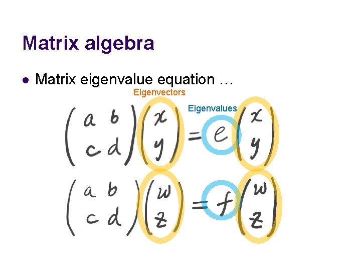 Matrix algebra l Matrix eigenvalue equation … Eigenvectors Eigenvalues 