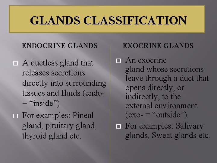 GLANDS CLASSIFICATION ENDOCRINE GLANDS � � A ductless gland that releases secretions directly into