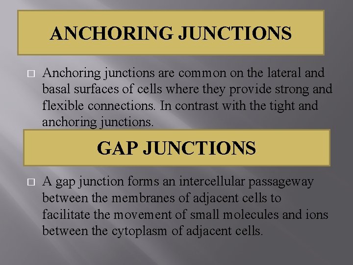 Unit 1 Organization of Animal Bodies Topic Epithelial