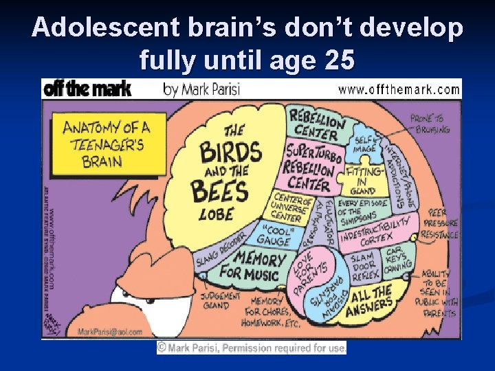 Adolescent brain’s don’t develop fully until age 25 