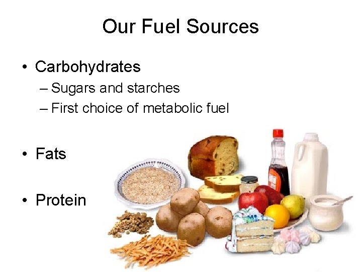 Our Fuel Sources • Carbohydrates – Sugars and starches – First choice of metabolic