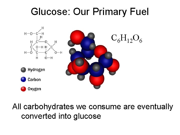 Glucose: Our Primary Fuel C 6 H 12 O 6 All carbohydrates we consume
