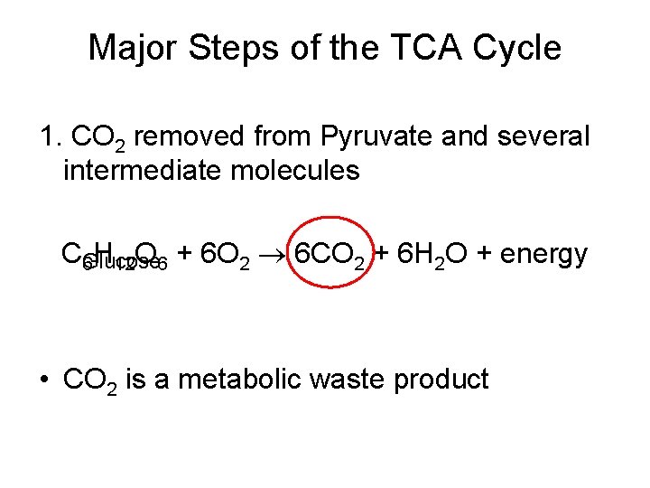 Major Steps of the TCA Cycle 1. CO 2 removed from Pyruvate and several