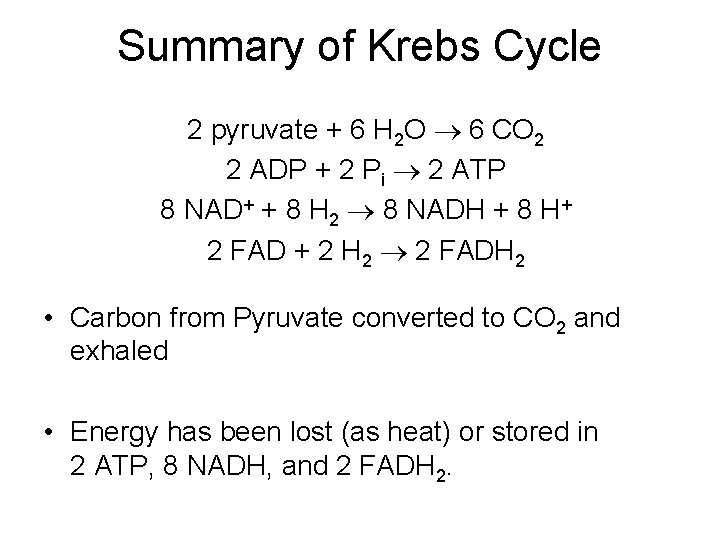 Summary of Krebs Cycle 2 pyruvate + 6 H 2 O 6 CO 2