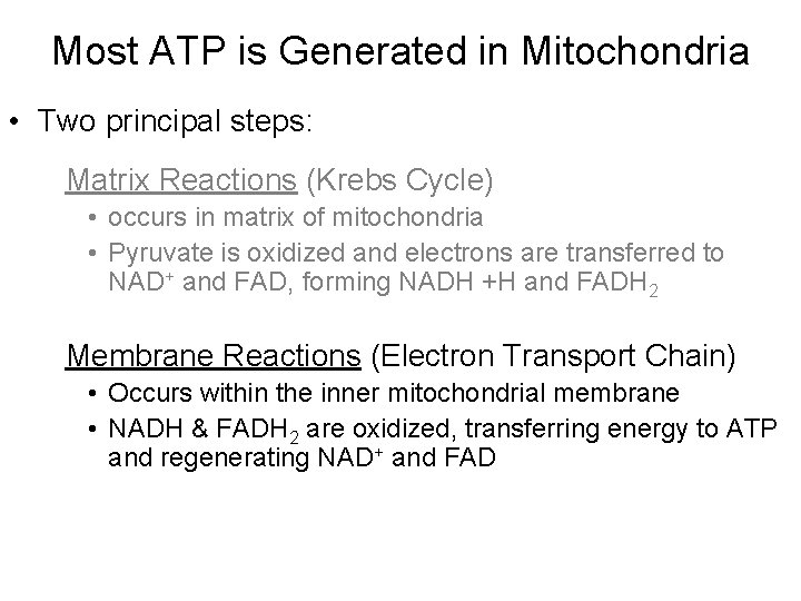 Most ATP is Generated in Mitochondria • Two principal steps: Matrix Reactions (Krebs Cycle)