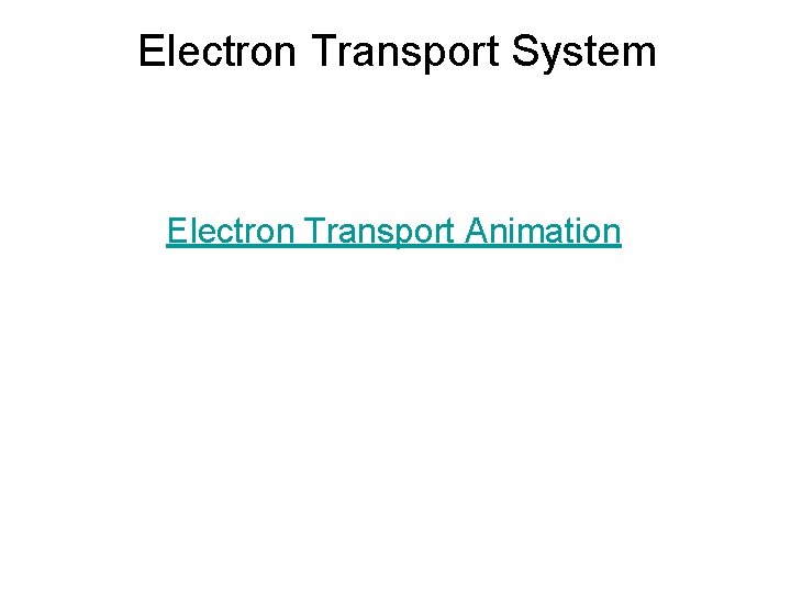 Electron Transport System Electron Transport Animation 