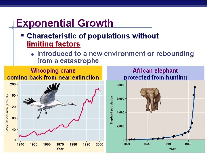 Exponential Growth § Characteristic of populations without limiting factors u introduced to a new